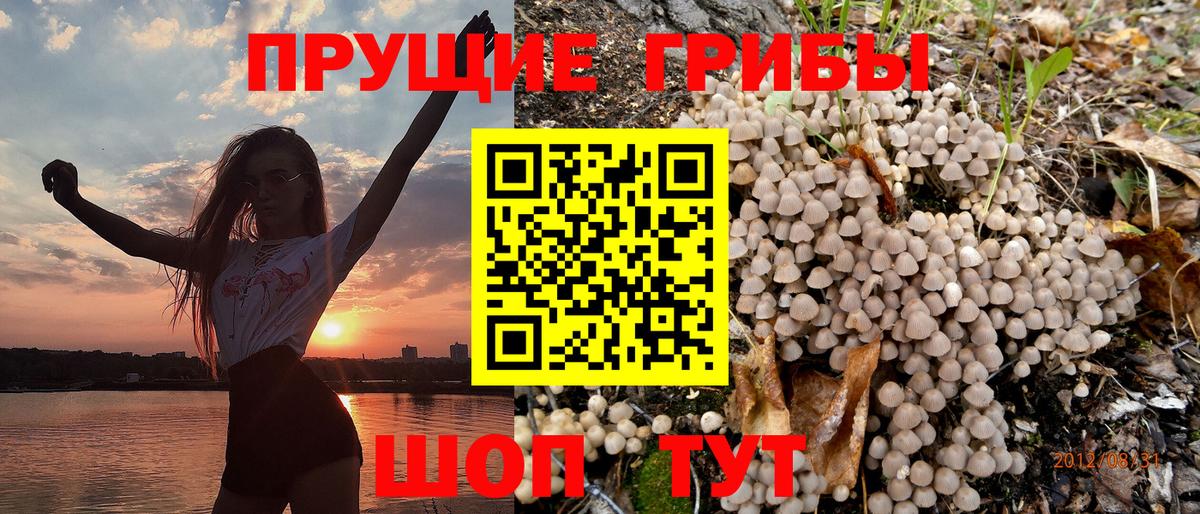 Галлюциногенные грибы Cubensis  Вход с VPN  Карталы  Галлюциногенные грибы MAGIC MUSHROOMS 