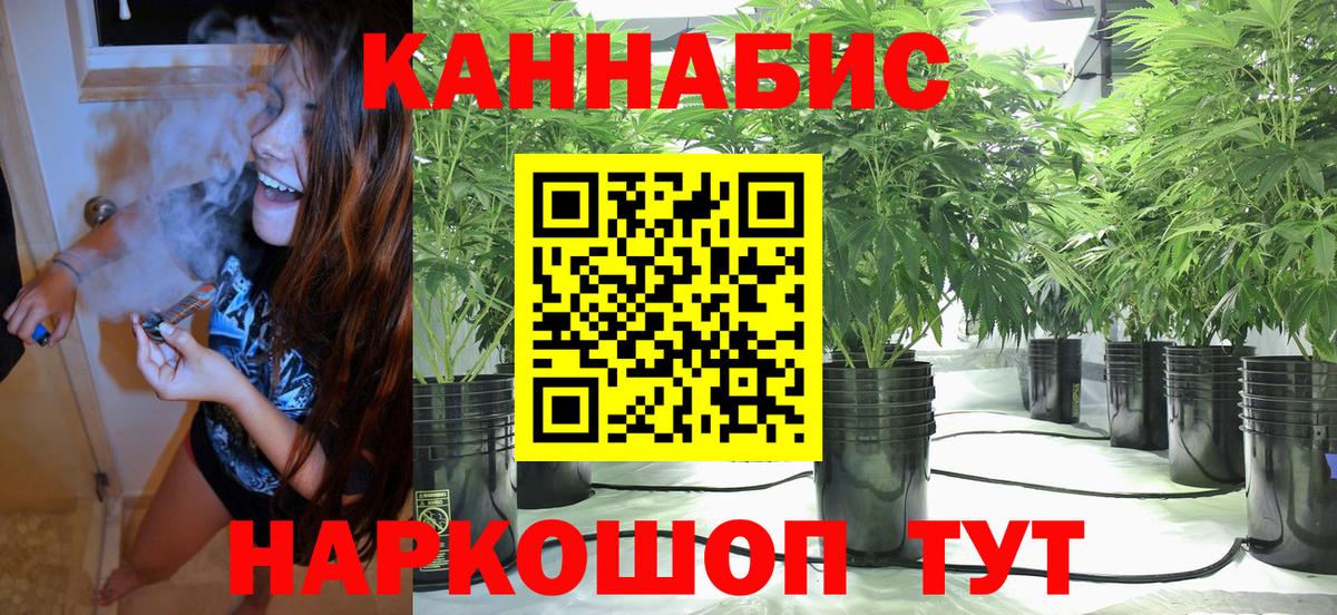 Бошки марихуана семена  Вход с VPN  Канабис MAZAR  Карталы  Марихуана тримм  Марихуана семена 